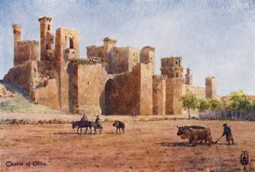 Northern Spain: Olite, The Castle