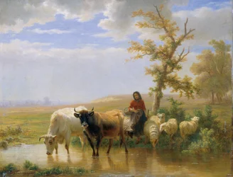 Cows and Sheep