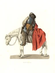 French Cavalry