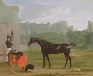 Outside the Guard House at Windsor
