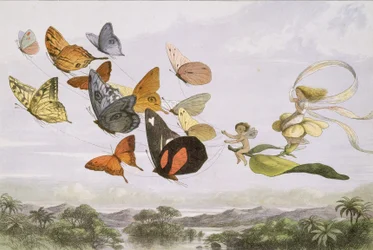 In Fairyland: A Series of Pictures from the Elf-World