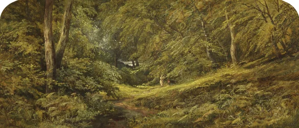 Sketch - In the Woods