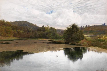 Leith Hill, from Broadmoor, Surrey