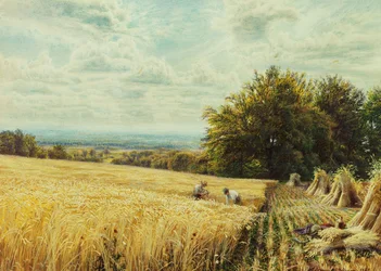 The Harvesters