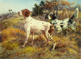 A German Short Haired Pointer and Two Setters in a Landscape