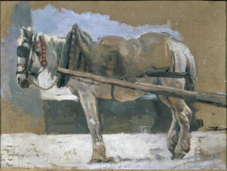 Harnessed Horse
