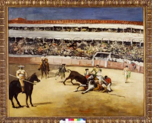 Bullfight