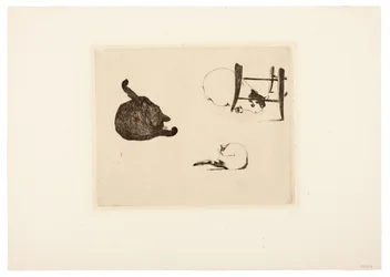 The Cats