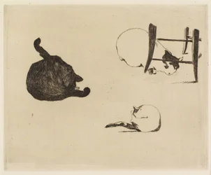 The Cats, 1869