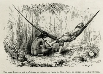A young Roucouyan woman extracts the shies that have beamed the explorer