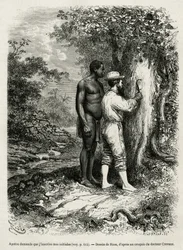 Apatou, guide and travel companion, asks the explorer and author to engrave his initials in the bark of a tree. Engraving by Riou to illustrate the story Cayenne aux Andes by Jules Crevaux, doctor of the French navy, in 1878-1879, published in Le Tour du