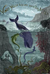 Engraving of the Book by Jules Verne 
