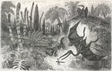 Landscape of the Liasic period (Illustration depicting a Pterodactyl)