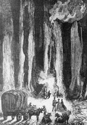 When evening came, camp was set up at the foot of eucalyptus trees, illustration for In Search of Castaways, adventure novel by Jules Verne (1828-1905), engraving by Adolphe François Pannemaker (born 1822) after drawing by Édouard Riou (1833-1900), 1868