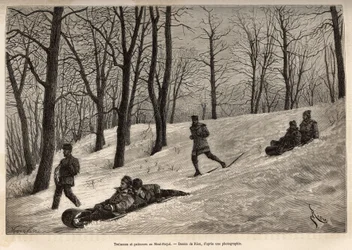 Luges and Skaters at the Plateau du Mont-Royal