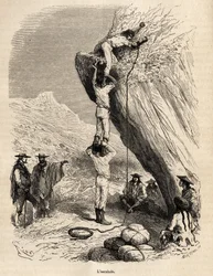 The Ascent of the Peaks of the Andes by the Marcoy Expedition