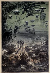 Underwater Floor. Illustration for Twenty Thousand Leagues Under the Seas by Jules Verne