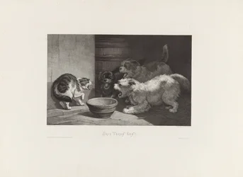 Hissing Cat and Three Barking Dogs by a Dish