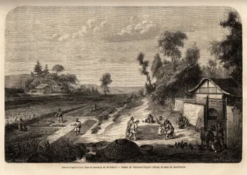 Scenes of agriculture in the harvest season, in the province of Pe-Tche-Li