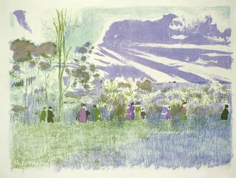 Across the Fields