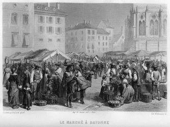 Marche in Bayonne, Pyrenees-Atlantiques, Aquitaine, France (engraving)