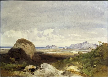 Coastal Landscape