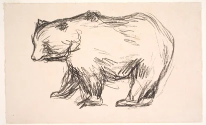 Bears