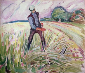 Haymaking
