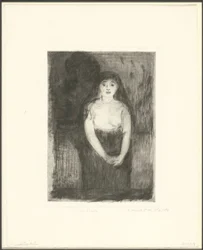 Study of a Model