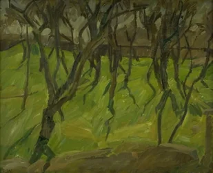 Trees on Christianshavns Rampart