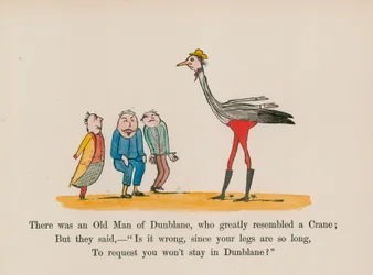 There was an Old Man of Dunblane, who greatly resembled a Crane