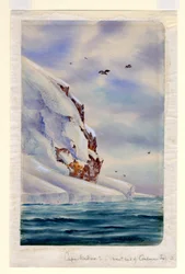 Cape Wadsworth, Coulman Island