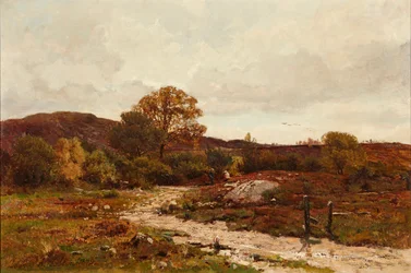 Moorland Landscape