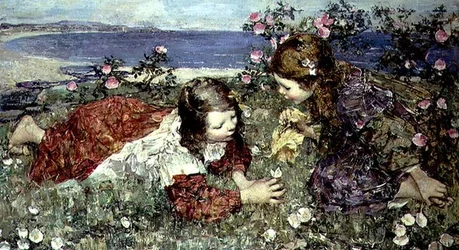 Butterflies