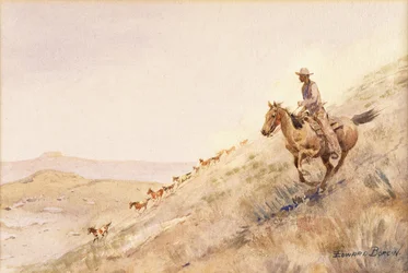 Rounding Up Horses