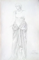 Study of Minerva