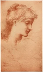 Beauty, 1887-1889