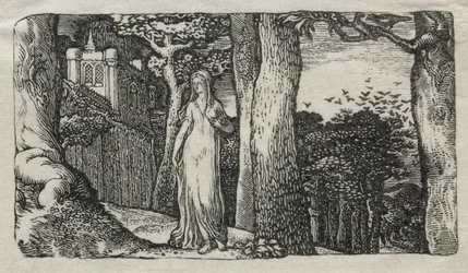 The Lady and the Rooks, 1829