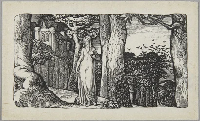The Lady with the Rooks