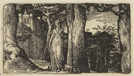 The Lady with the Rooks