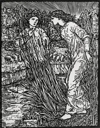 The Task of the Gold-Wooled Sheep