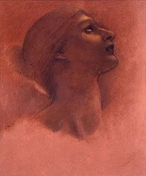 Study for the Head of 
