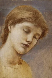 Study of a Head