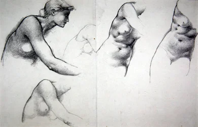 The Tree of Forgiveness - Study for the figure of Phyllis