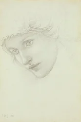 Study for the Head of a Mermaid