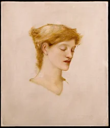 The Head of a Woman