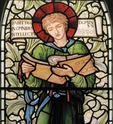 Timothy (detail)