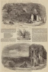 Sketches in Hainault Forest