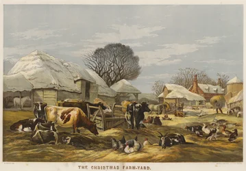 The Christmas Farm-Yard