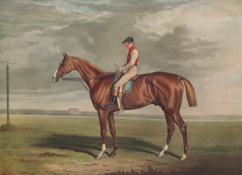Velocipede, Winner of the St. Leger, 1828